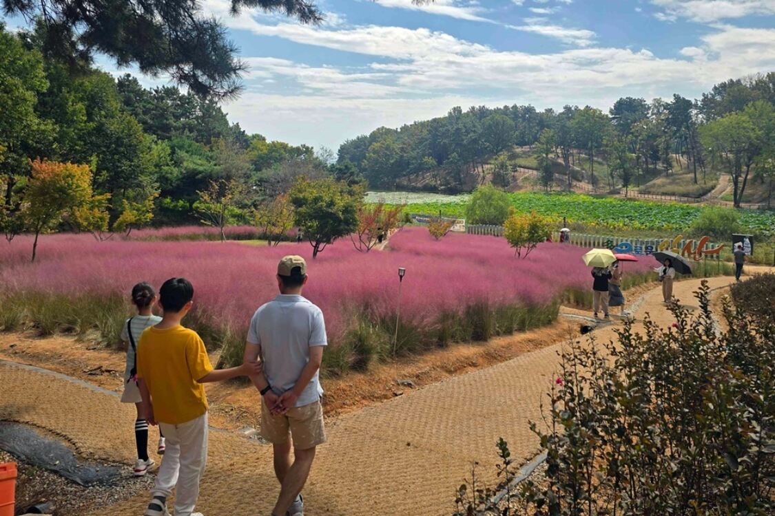 뉴스 이미지