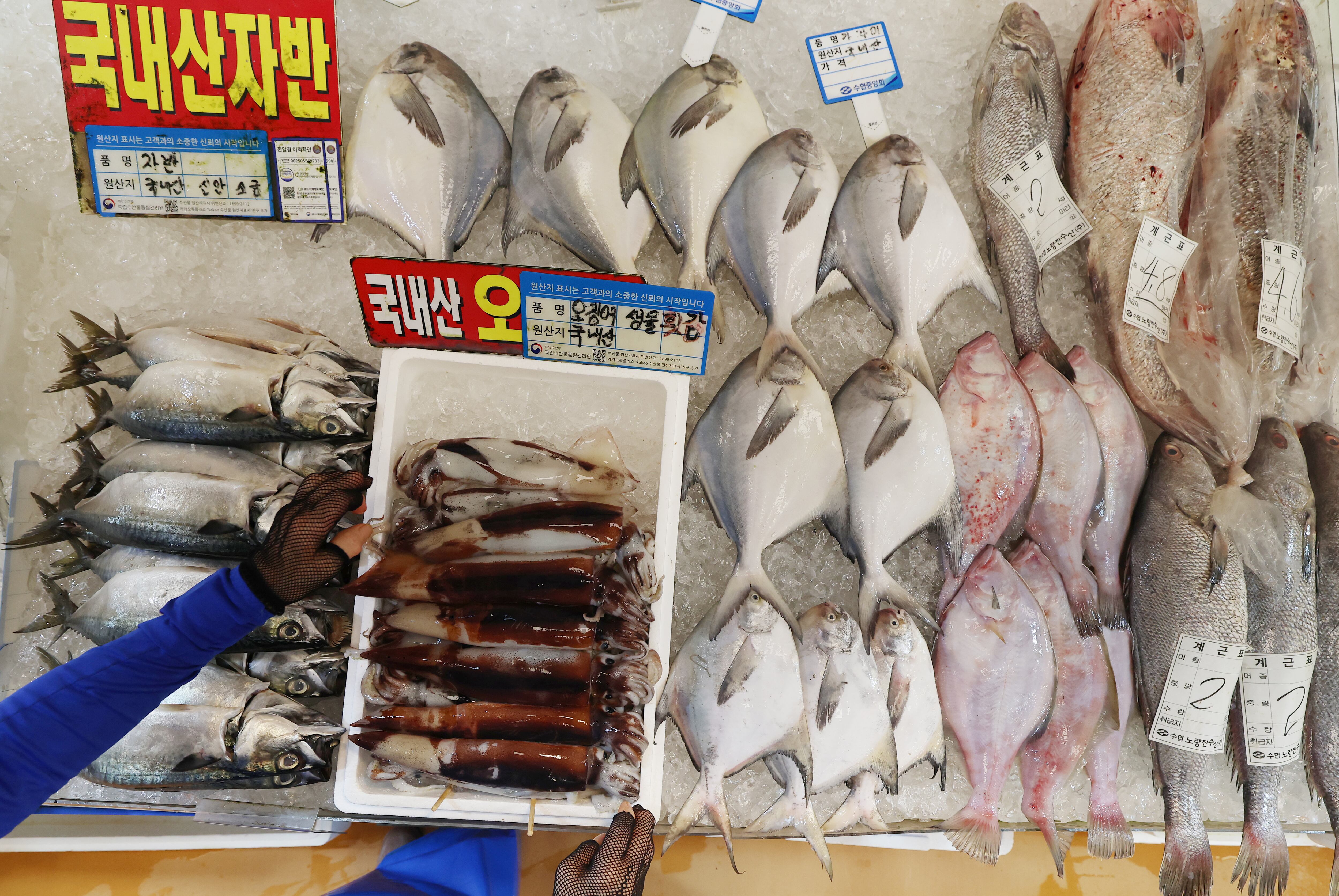 뉴스 이미지