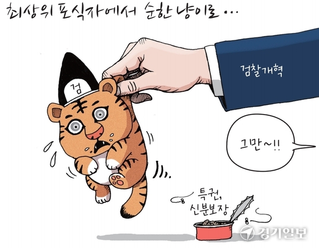 뉴스 이미지