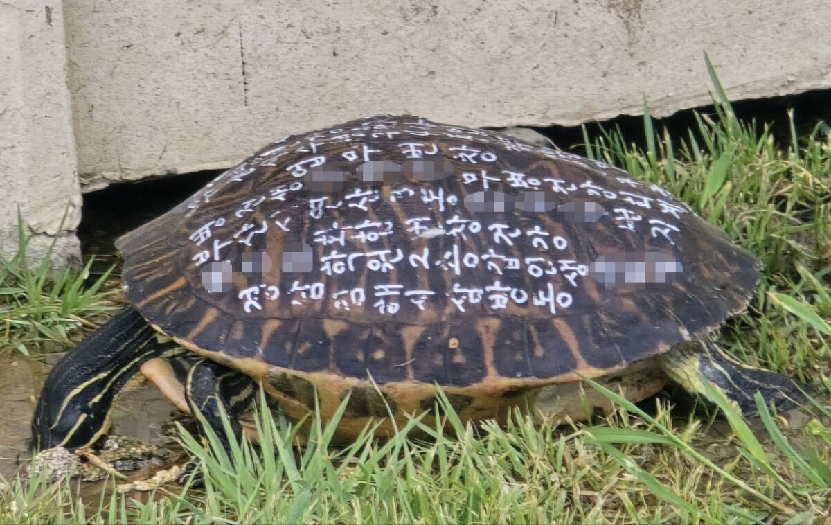 뉴스 이미지