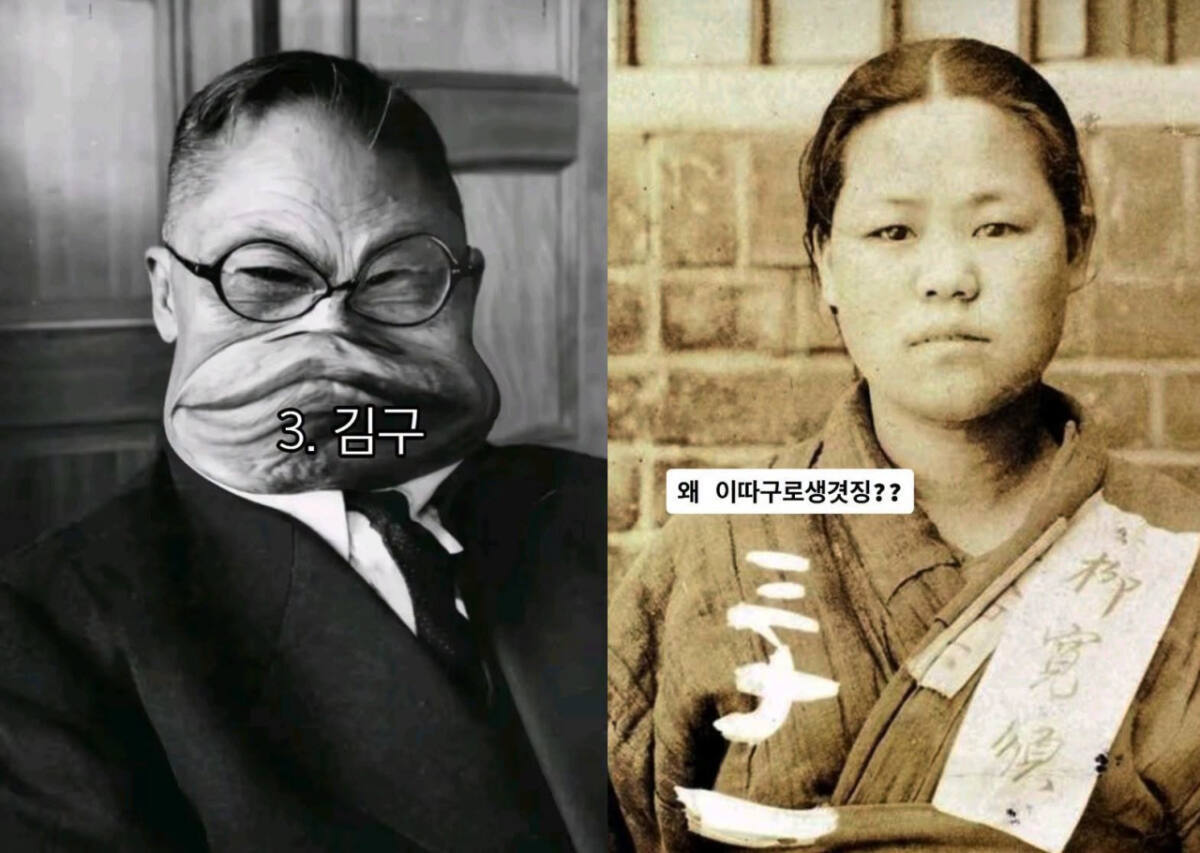 뉴스 이미지