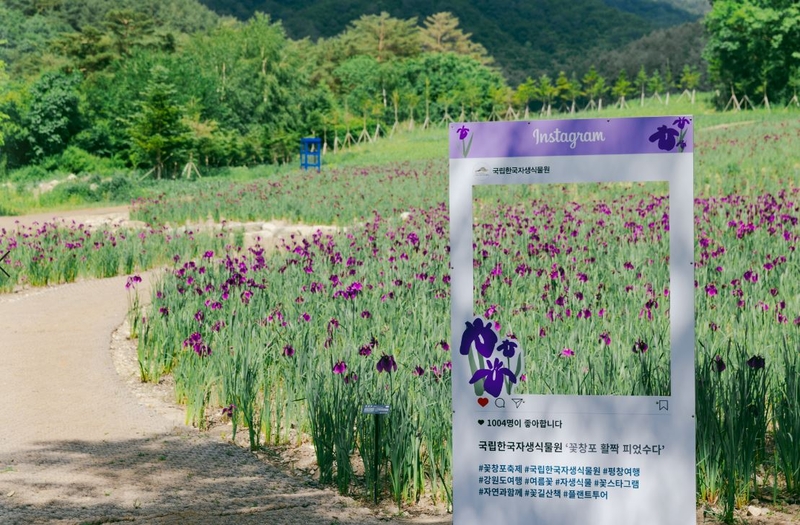 뉴스 이미지