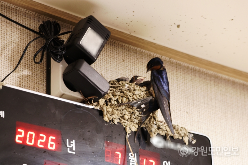 뉴스 이미지