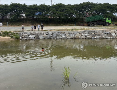 뉴스 이미지