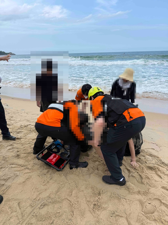뉴스 이미지