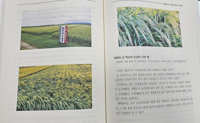 뉴스 이미지