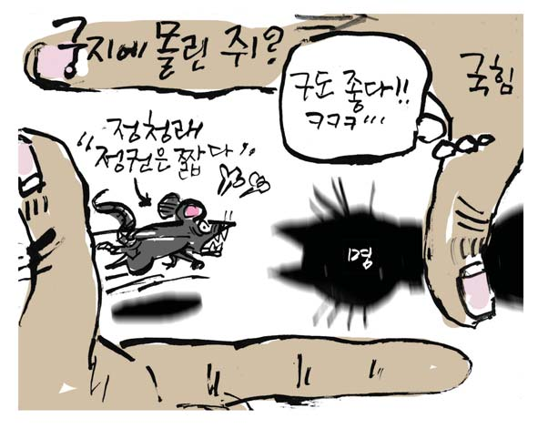뉴스 이미지