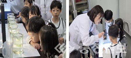 뉴스 이미지