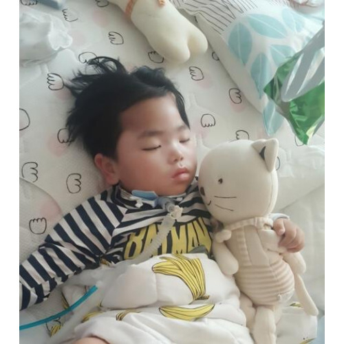 뉴스 이미지