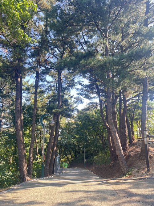 뉴스 이미지