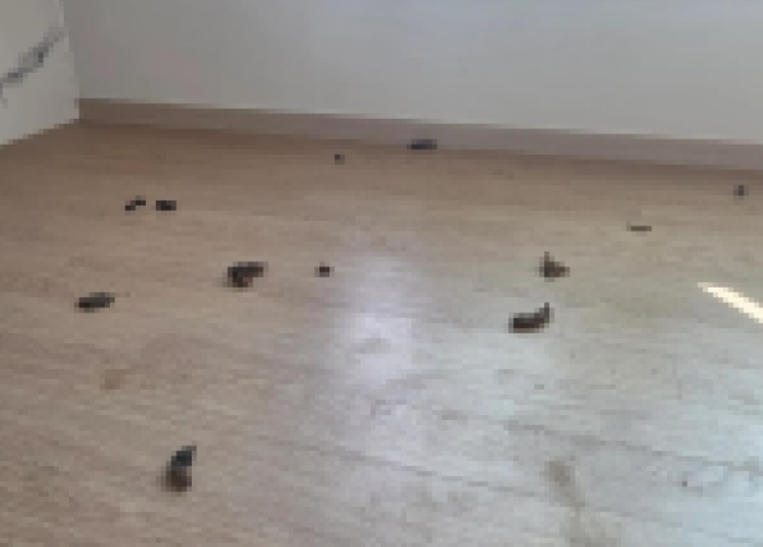 뉴스 이미지