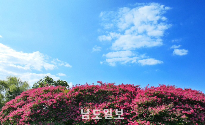 뉴스 이미지