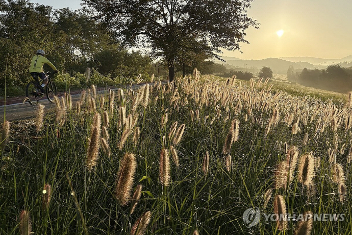 뉴스 이미지