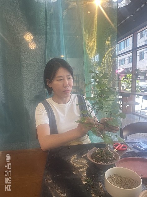 뉴스 이미지