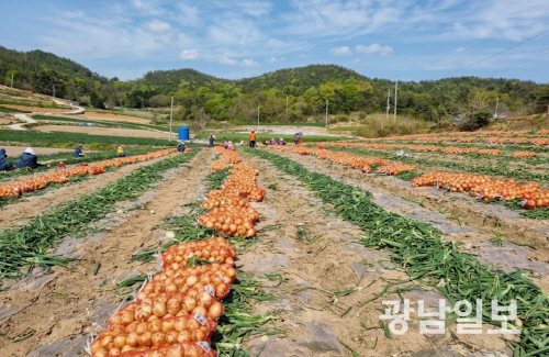 뉴스 이미지