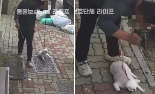 뉴스 이미지