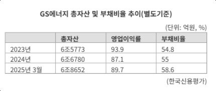 'GS에너지, SMR 전담 조직 개편'...미래 전력 주도권 노린다 관련사진2
