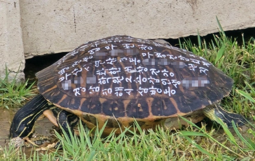 뉴스 이미지
