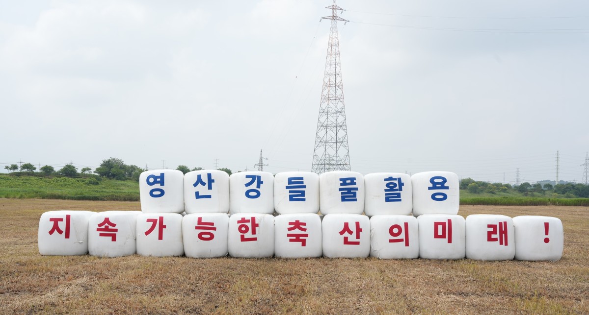 뉴스 이미지