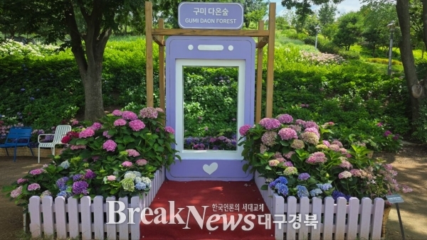 뉴스 이미지