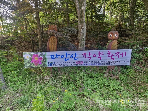 뉴스 이미지
