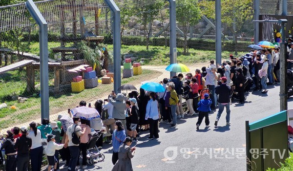 뉴스 이미지