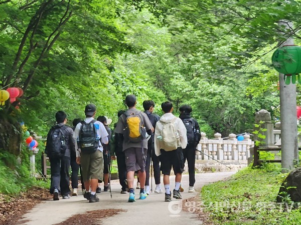 뉴스 이미지