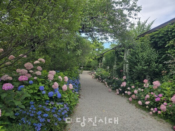 뉴스 이미지