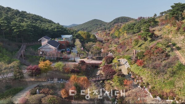 뉴스 이미지