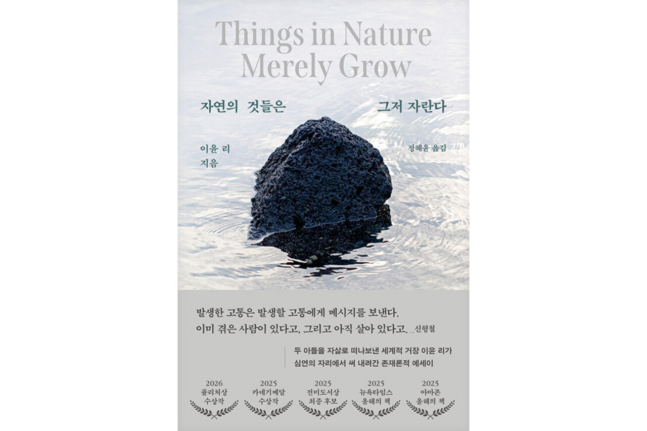 뉴스 이미지