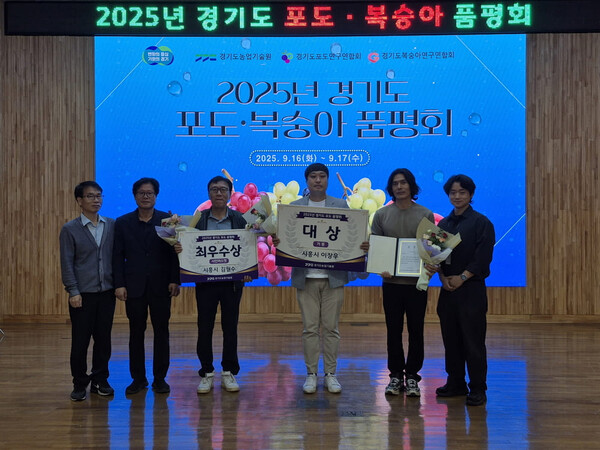 뉴스 이미지