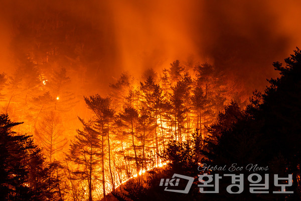 뉴스 이미지