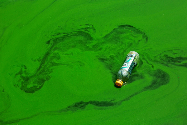 하수처리장 방류수 총인 기준 강화