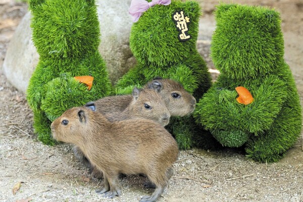 뉴스 이미지