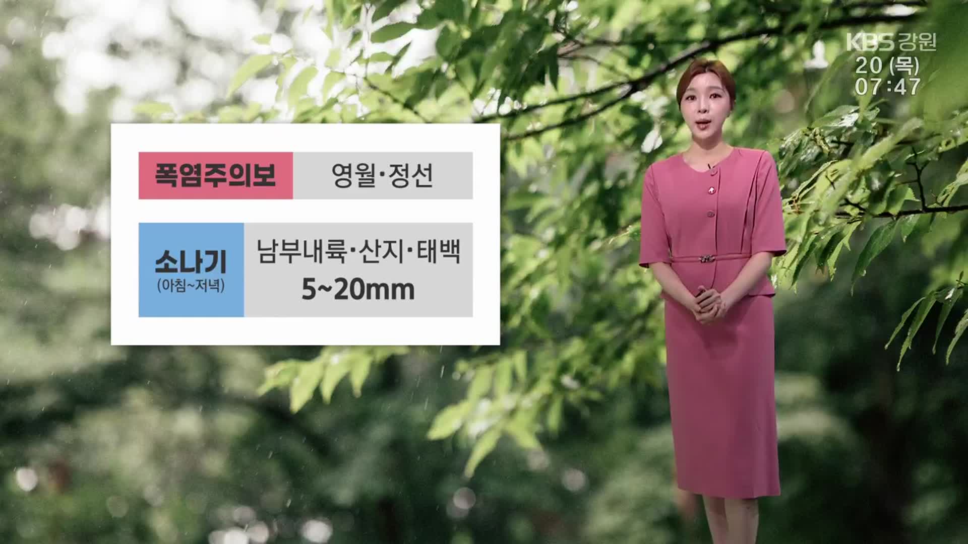 뉴스 이미지
