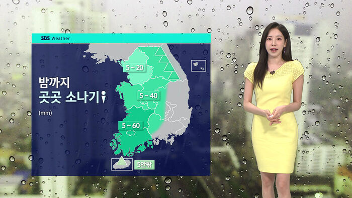 뉴스 이미지