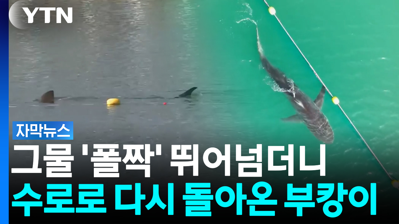 뉴스 이미지