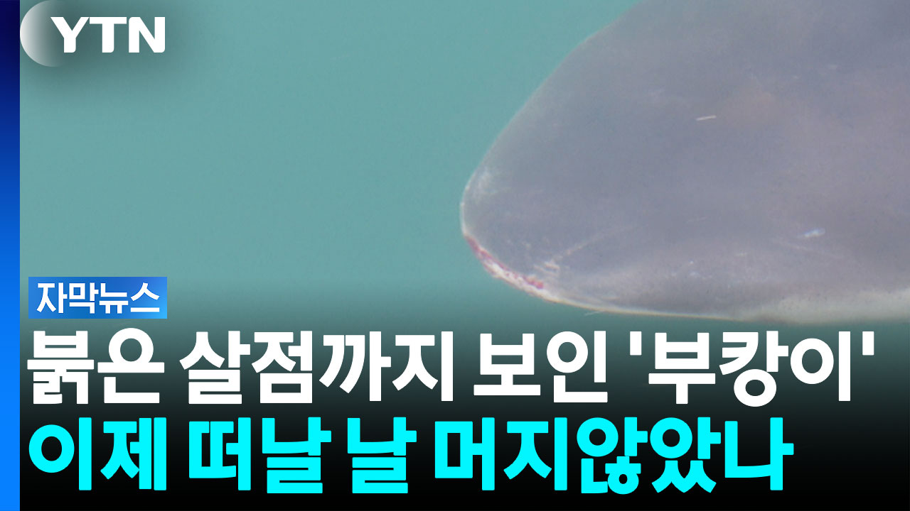 뉴스 이미지
